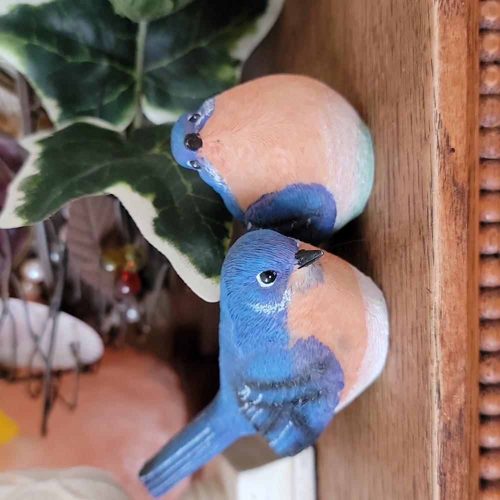 Blue Bird Pr.